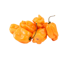 Habanero Peppers